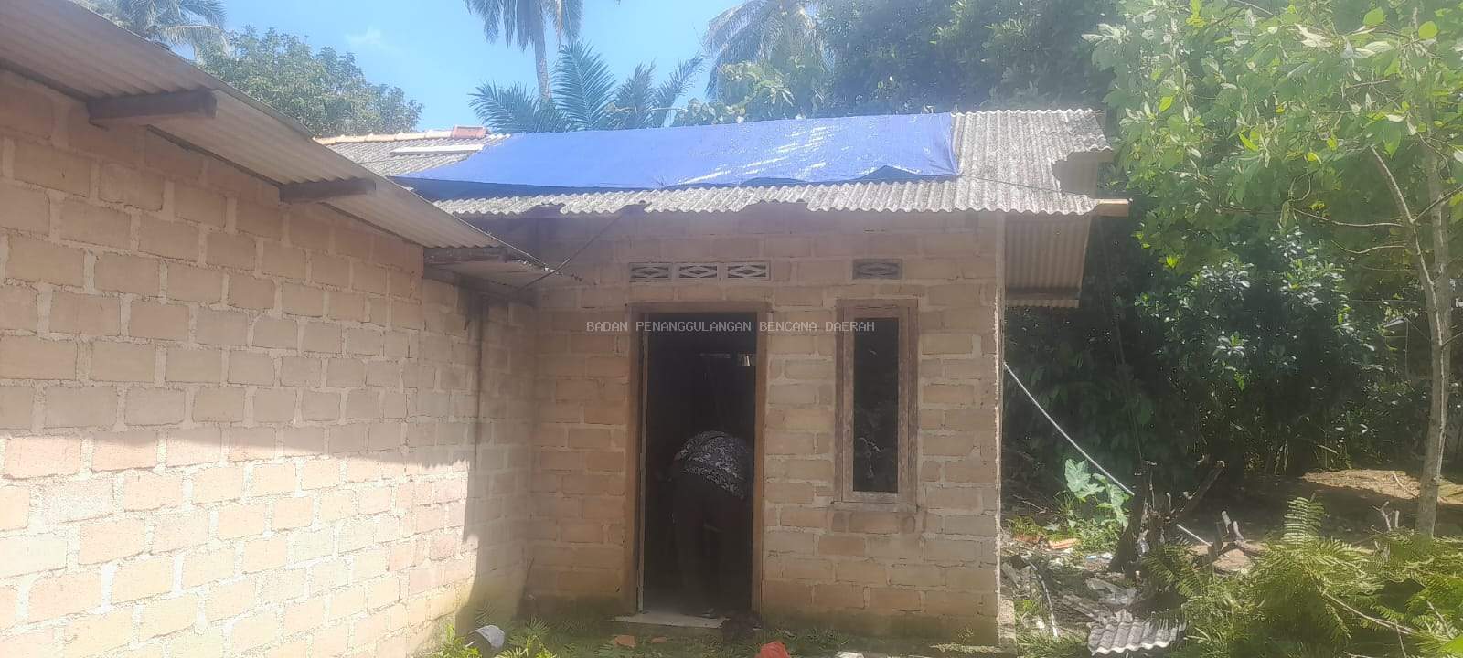 DINI HARI, POHON TUMBANG TIMPA RUMAH WARGA